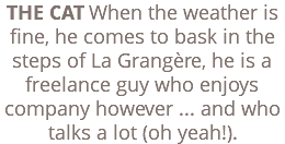 THE CAT When the weather is fine, he comes to bask in the steps of La Grangère, he is a freelance guy who enjoys company however ... and who talks a lot (oh yeah!).