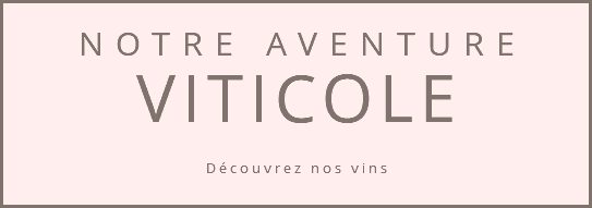 NOTRE AVENTURE VITICOLE ﷯