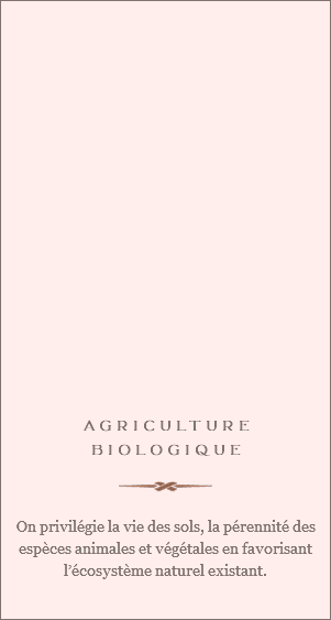  AGRICULTURE BIOLOGIQUE ﷯ On privilégie la vie des sols, la pérennité des espèces animales et végétales en favorisant l’écosystème naturel existant. 