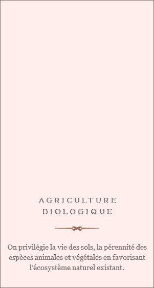  AGRICULTURE BIOLOGIQUE ﷯ On privilégie la vie des sols, la pérennité des espèces animales et végétales en favorisant l’écosystème naturel existant. 