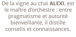 De la vigne au chai ALEXI, est le maître d’orchestre : entre pragmatisme et autorité bienveillante, il distille conseils et connaissances. 