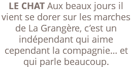 LE CHAT Aux beaux jours il vient se dorer sur les marches de La Grangère, c’est un indépendant qui aime cependant la compagnie… et qui parle beaucoup.